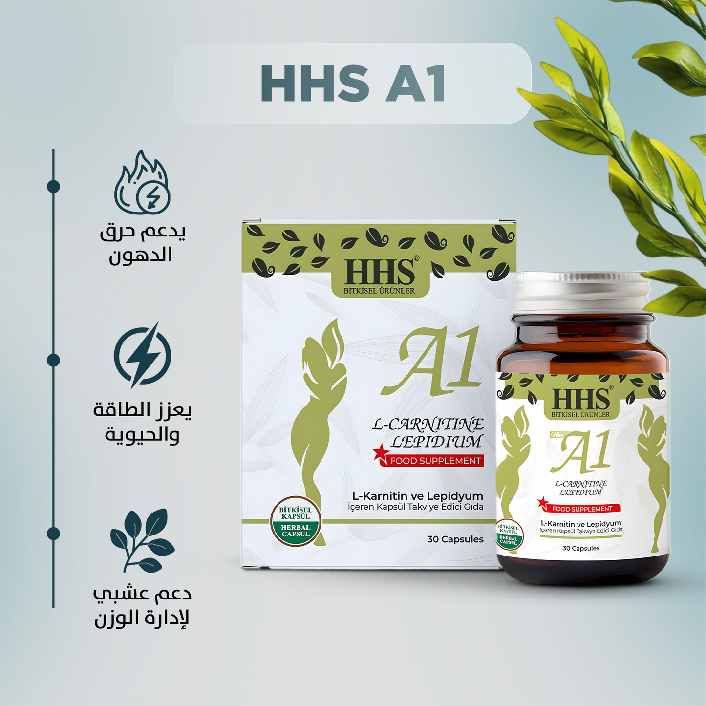 HHS A1 L-Carnitine Lepidium