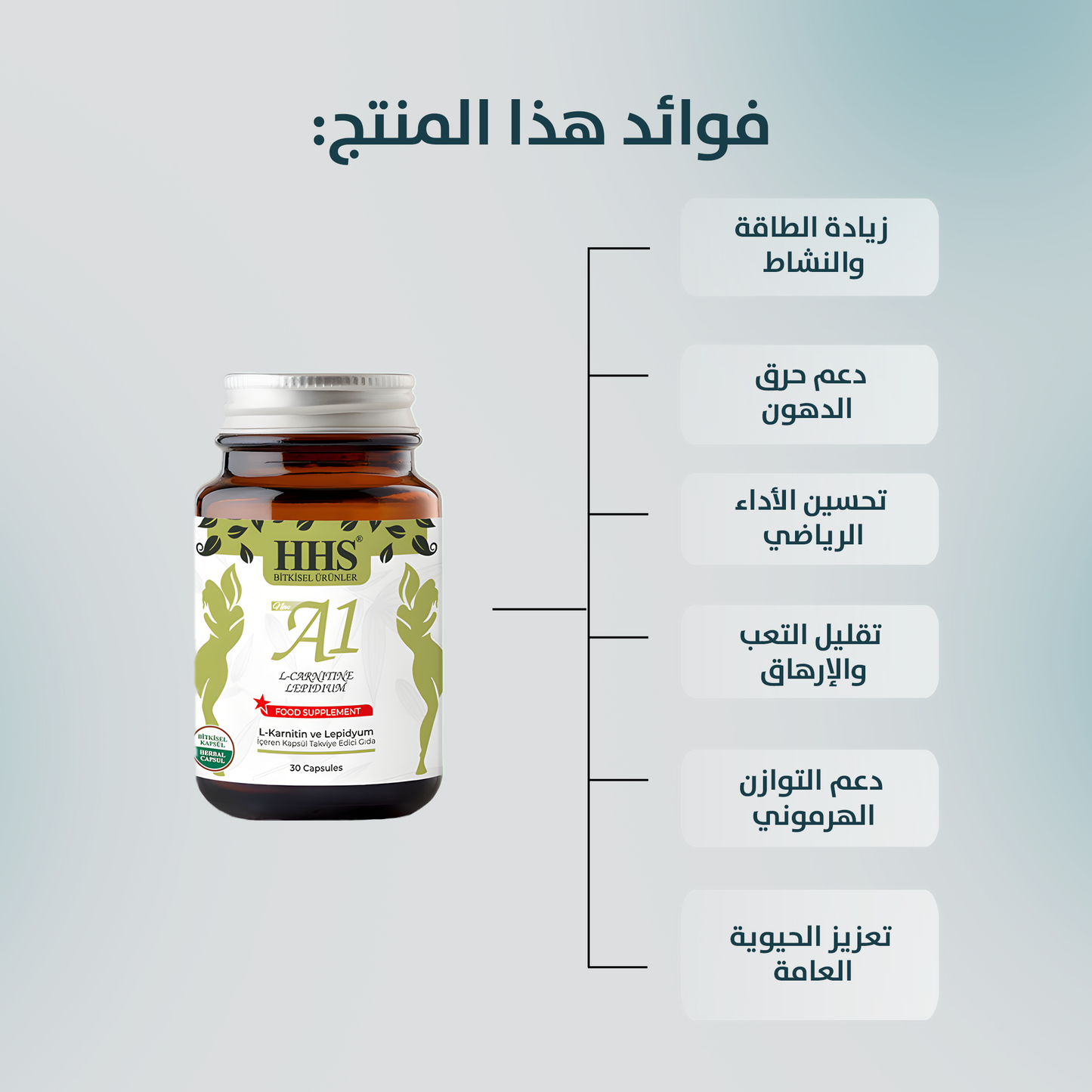 HHS A1 L-Carnitine Lepidium