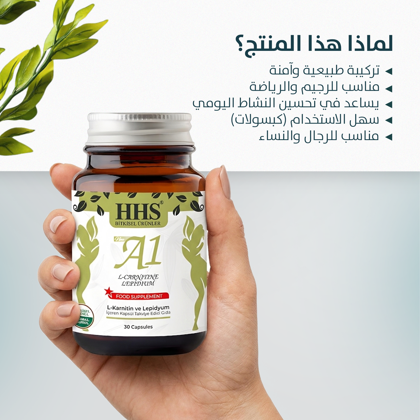 HHS A1 L-Carnitine Lepidium